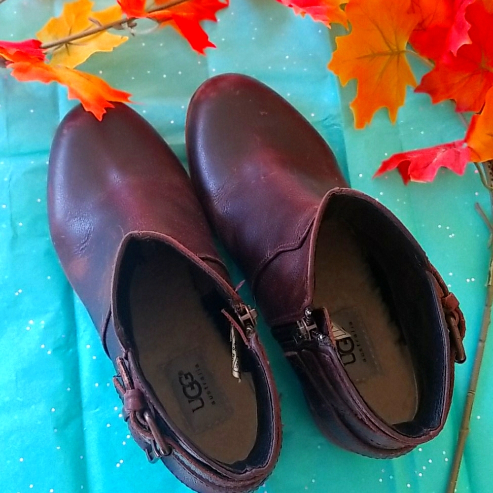 Dark Brown Ugg Booties